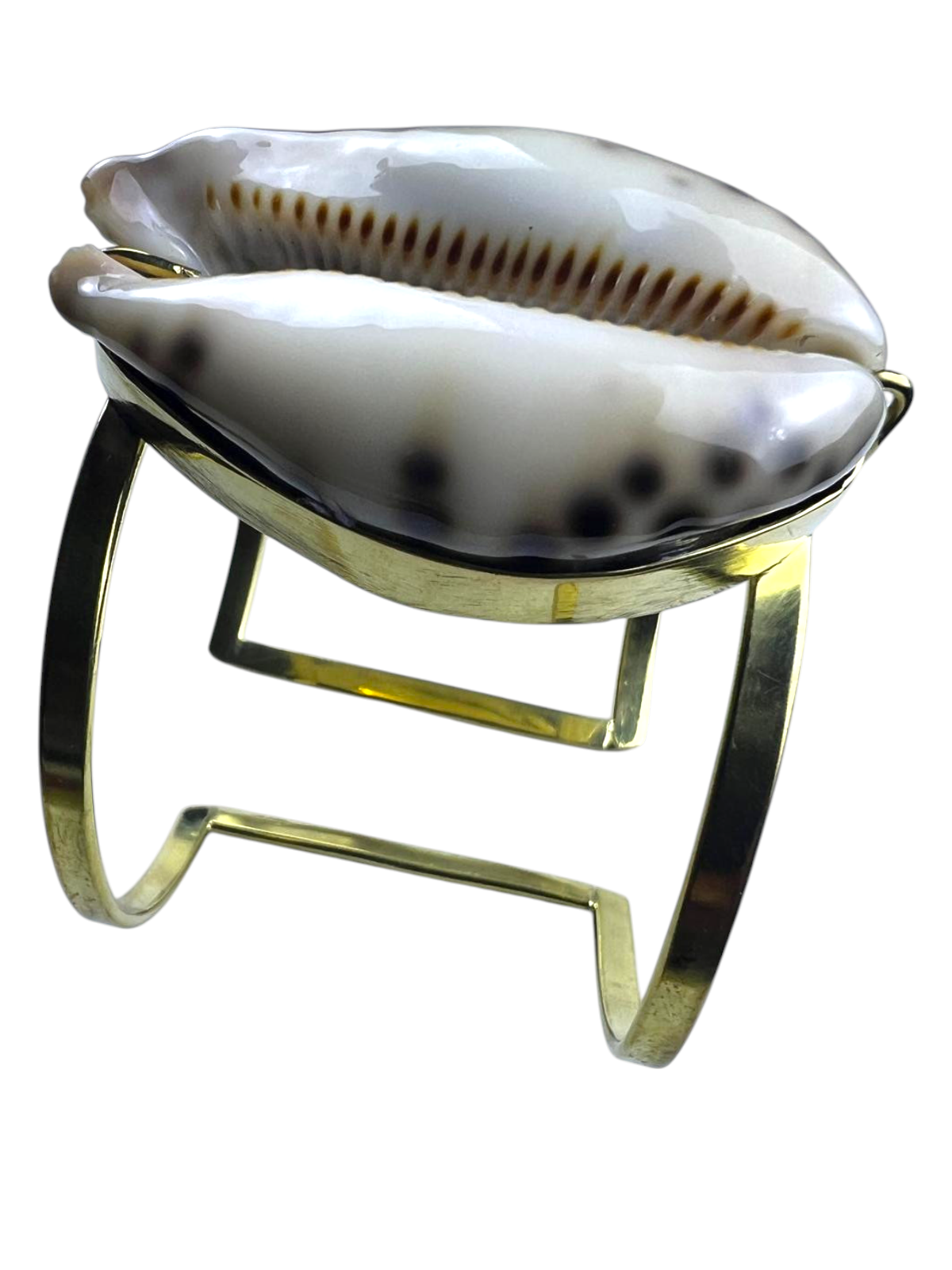 Statement Brass Cuff with Real Tiger Cowry Shell