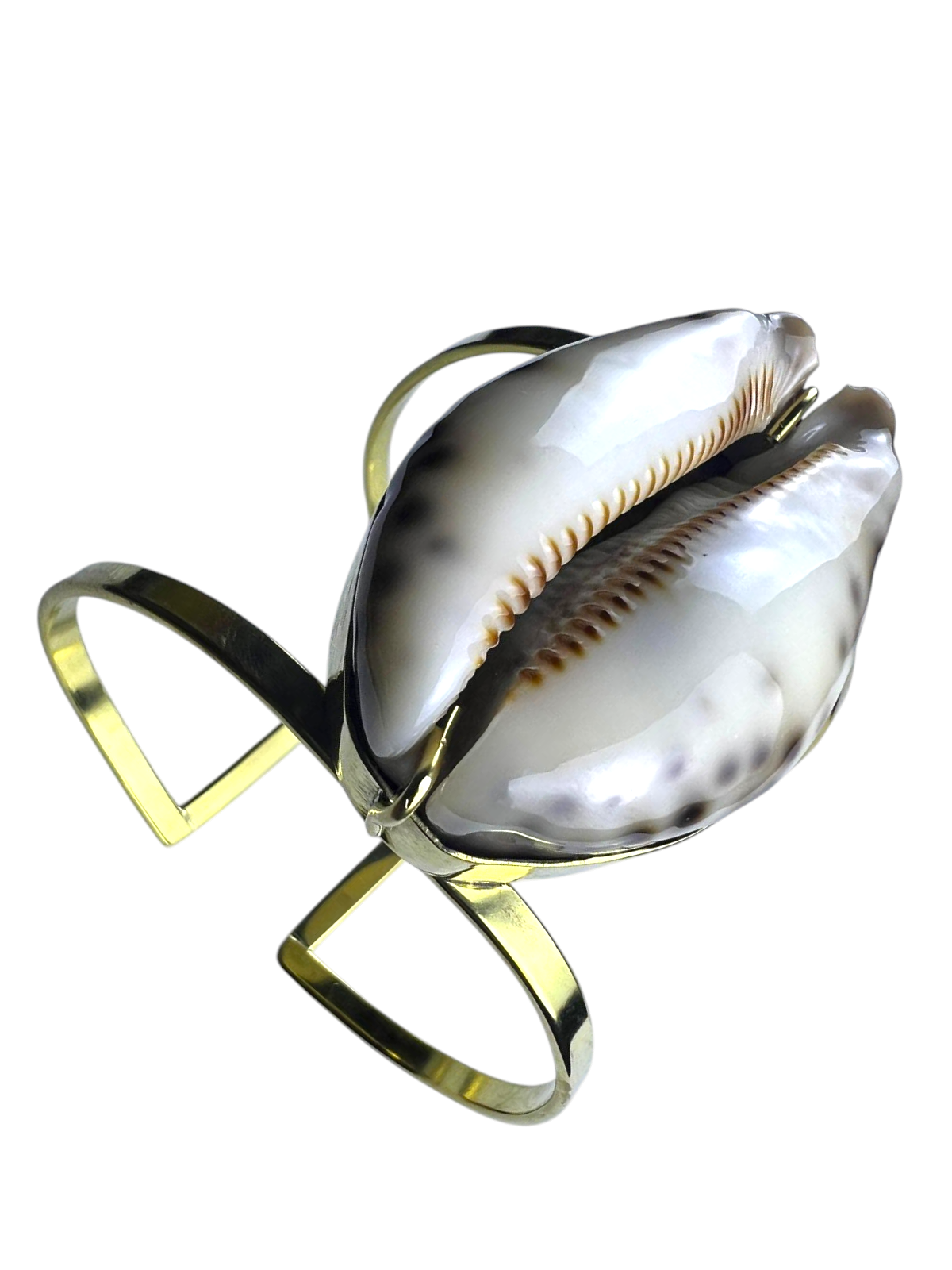 Statement Brass Cuff with Real Tiger Cowry Shell