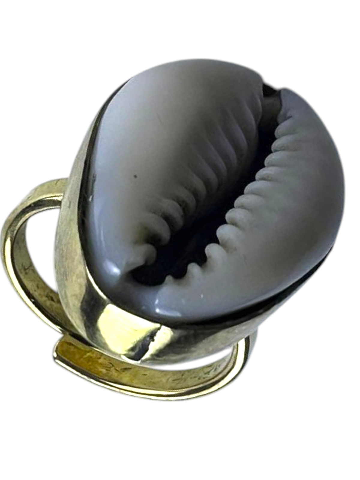 Brass Ring with White Cowry Shell